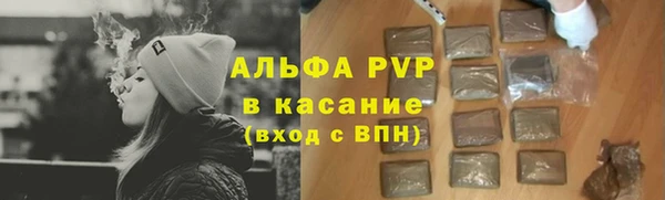 PSILOCYBIN Аркадак