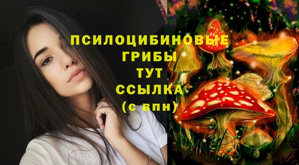 спиды Арсеньев