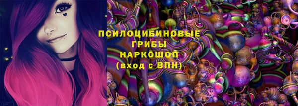 гидра Армянск