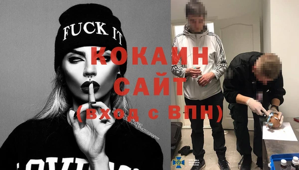 PSILOCYBIN Аркадак