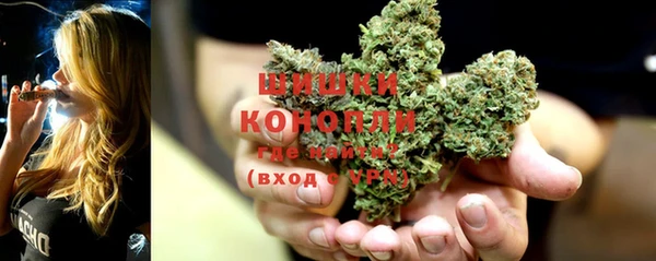 PSILOCYBIN Аркадак