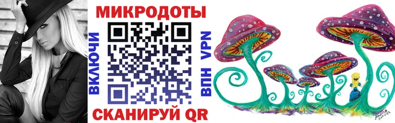 Галлюциногенные грибы Psilocybine cubensis  Усолье 